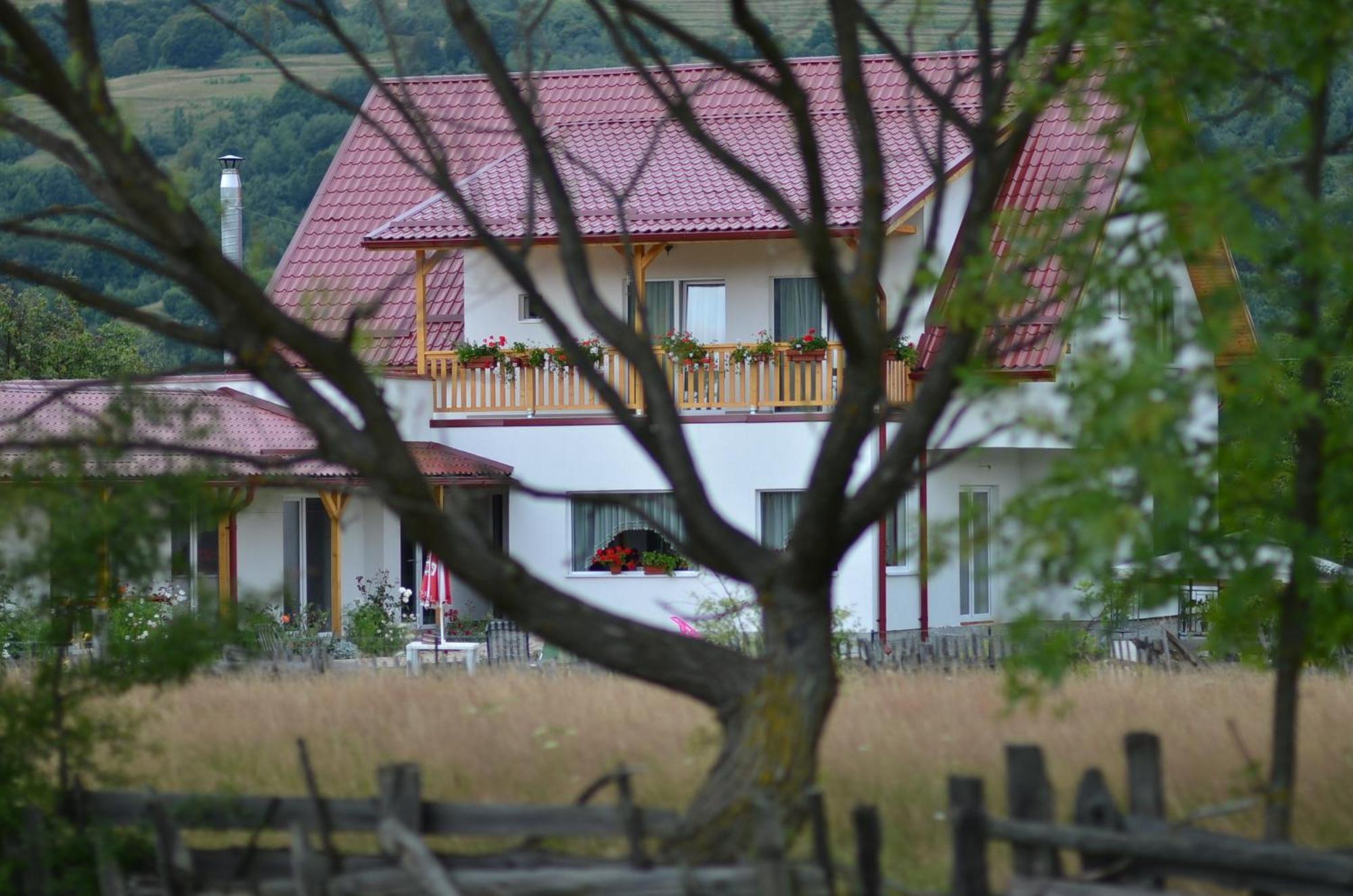 ホテル ペンシュネア ポエジー アレセ Valea Drăganului エクステリア 写真